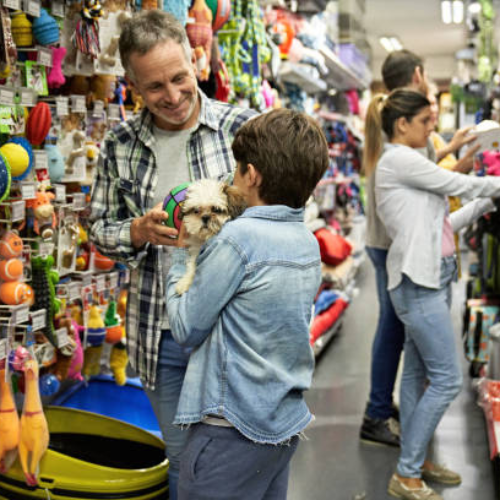 Pet Supplies